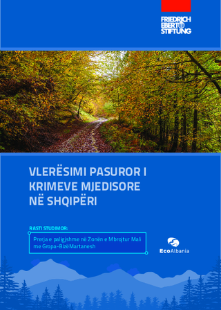Vlerësimi pasuror i krimeve mjedisore në Shqipëri
