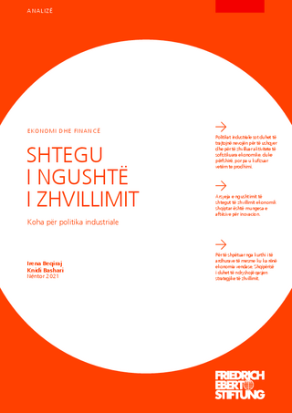 Shtegu i ngushtë i zhvillimit